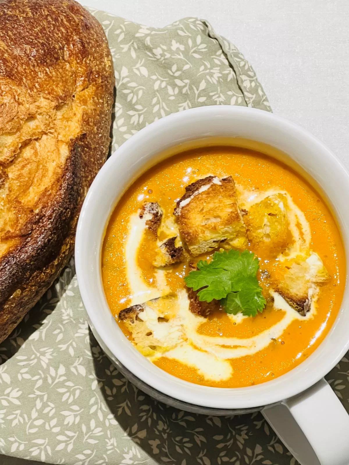 Homemade Tomato Soup With Chicken Broth - The Well-Fed Family
