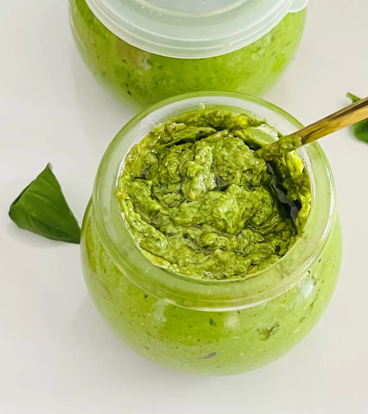 Fresh Basil Homemade Pesto - The Well-Fed Family