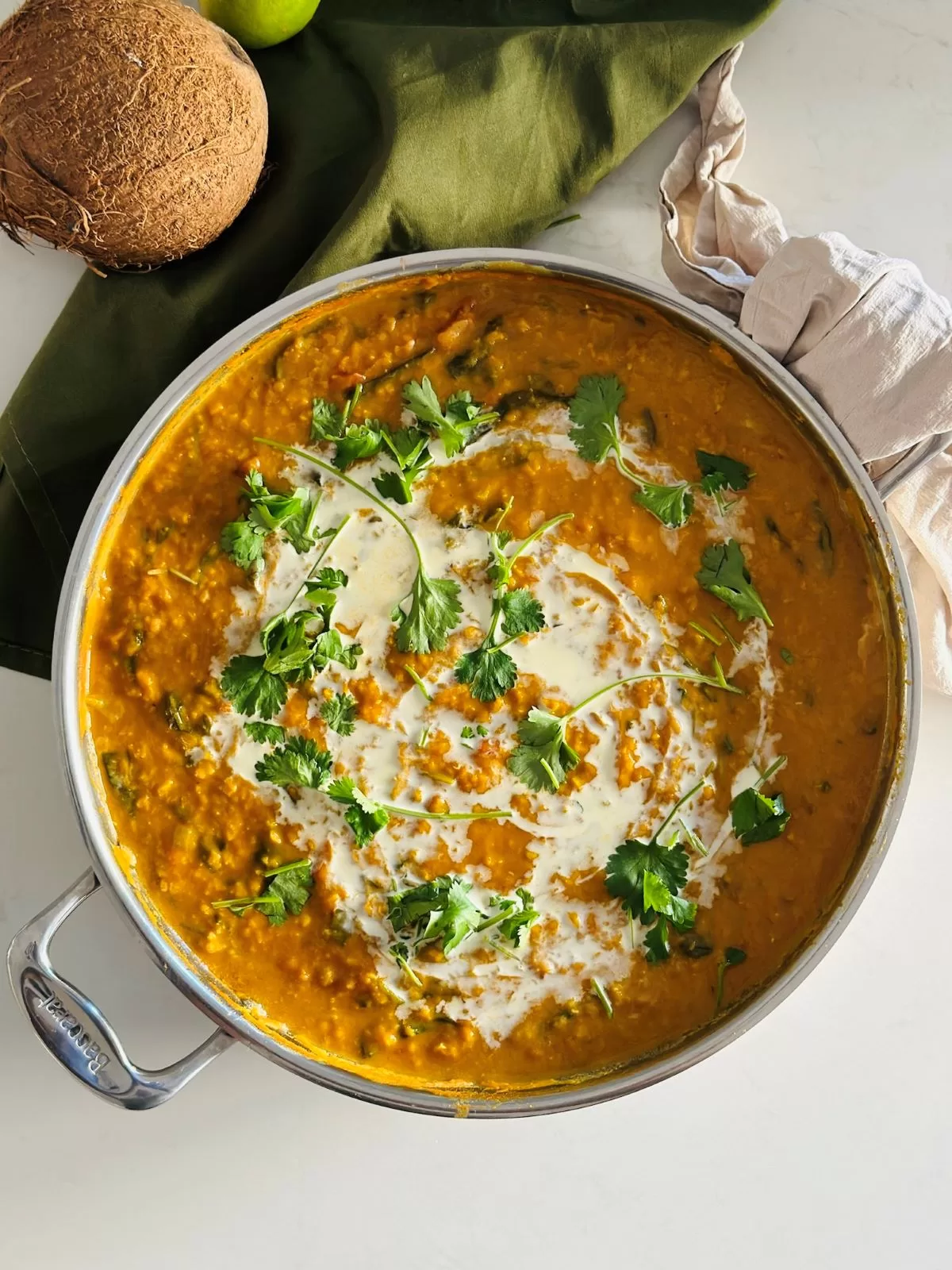 Vegan Red Lentil Curry - The Well-Fed Family