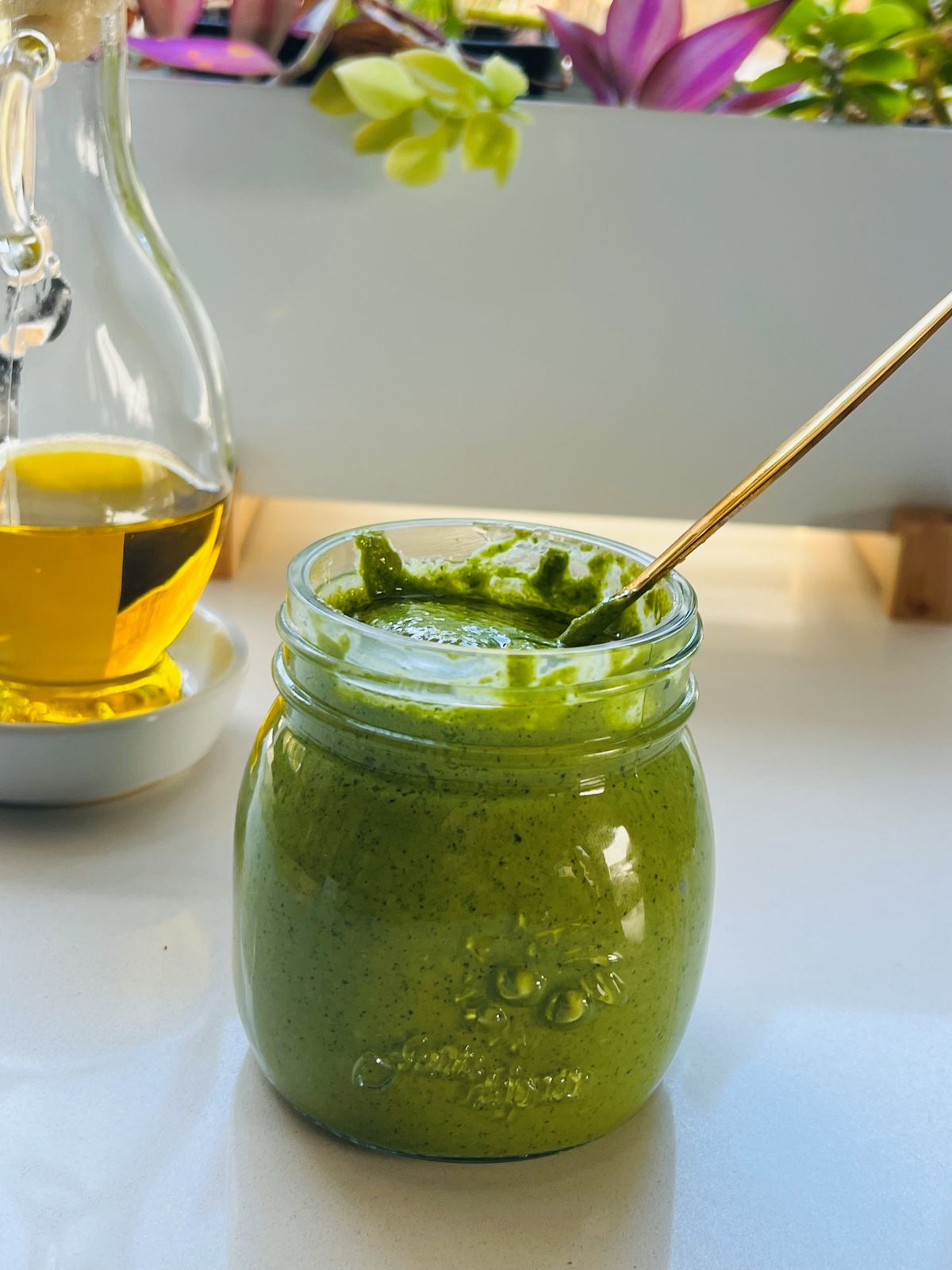 ar of coriander pesto recipe placed beside fresh green herbs and a jar of olive oil.