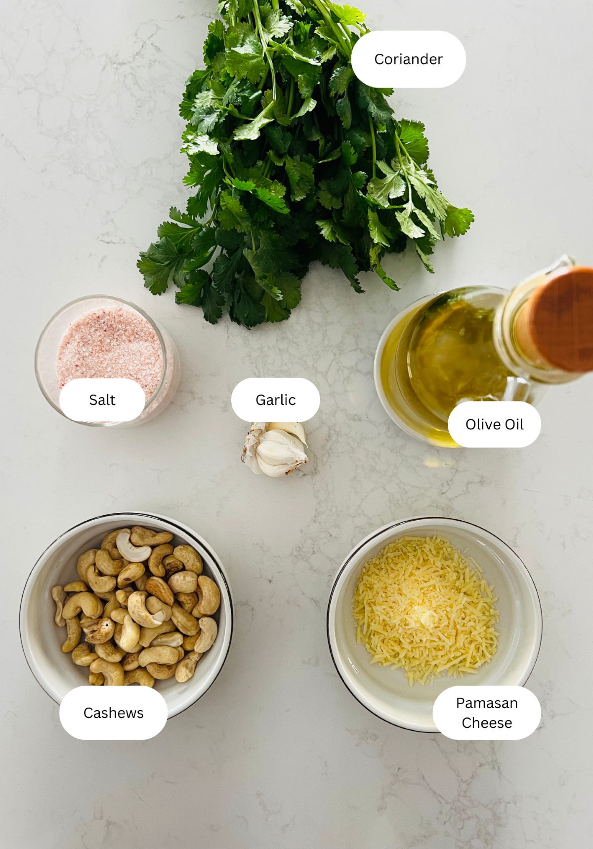 Ingredients for coriander pesto recipe laid out on a table, including fresh coriander, olive oil, and a garlic clove